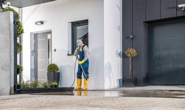 Best Soft Washing  in Shelby, NC